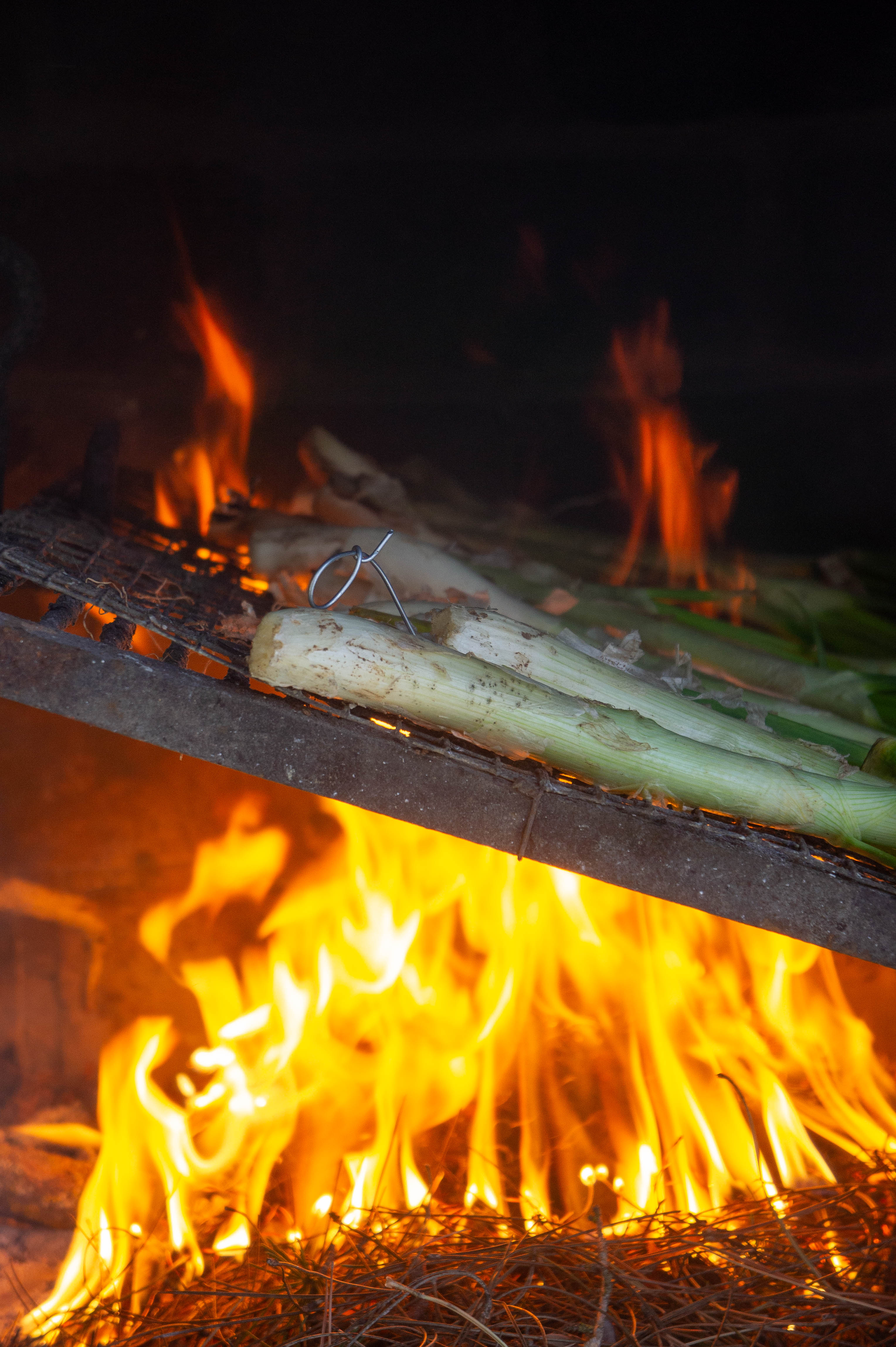 Calsots parrilla